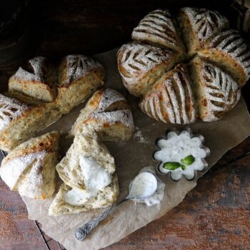 No Knead Cheese and Herbs Pullapart Buns